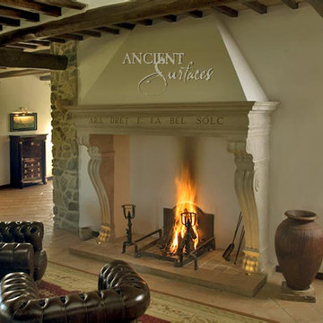 Living Room Fireplaces