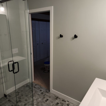 Jordan & Beth, NE Grand Rapids, Master Bathroom & Basement Remodel