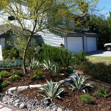Sustainable front yard, recycled materials