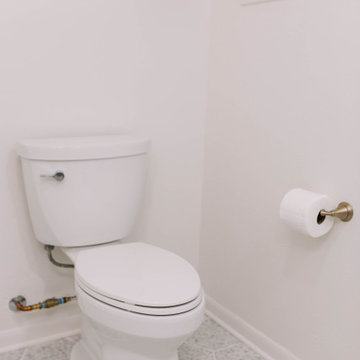 Organic Transitional Master & Hall Bathroom