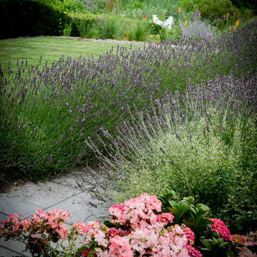 A new garden to love all year long