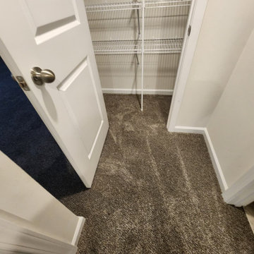 Residential Carpet Installation