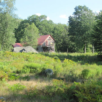 12 acre field of native grasses and wildflowers in northern Vermont