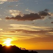 Daliah Bauer's photo