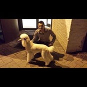 Theo Dimitropoulos's photo