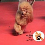 Frederique Lemoine's photo