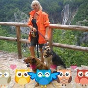 Monika Meisel's photo
