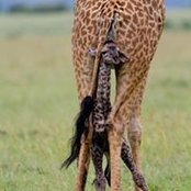 Claire Bates's photo