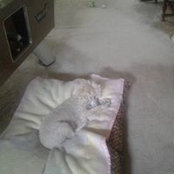 Kim Murrah's photo