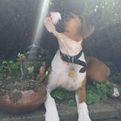 Katie Clark's photo