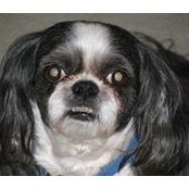 Patricia Workman's photo