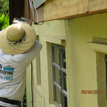 Shingle & Flat Roof Restoration Process