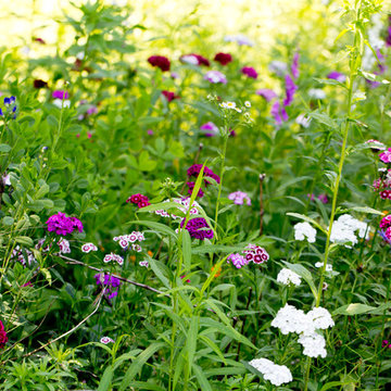 My Houzz: Classic Garden Style for a 1745 Connecticut Farmhouse