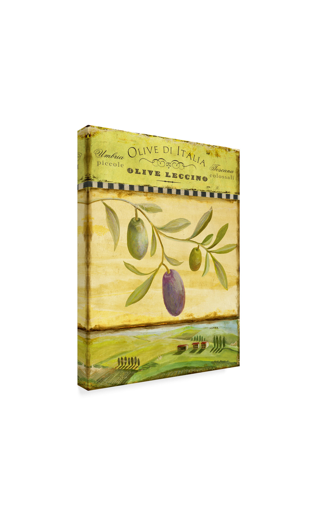 Art Licensing Studio 'Olive Grove Toscana' Canvas Art, 24"x32 ...