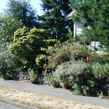Foliage & Steps - Woodland Park, Seattle