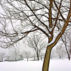 Foggy Morning Landscape - Fractalius 3 - Artwork