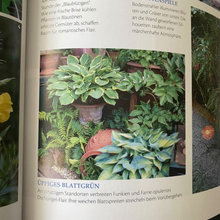 Garden-y