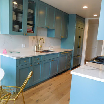 Entire House remodeling in Beverly Hills