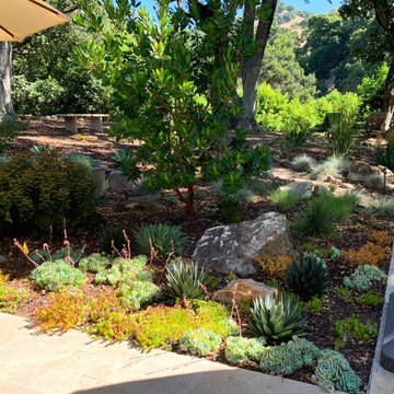 Oak Tree Setting With Hillside Views, Landscape Renovation, Northern California