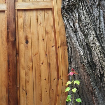 Sampling of Exterior Projects