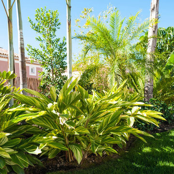 Jardín tropical en Villa de lujo