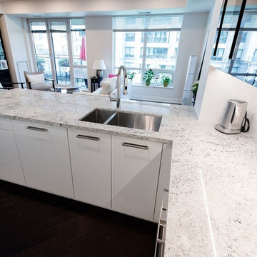 Compact Condo Kitchen In Toronto