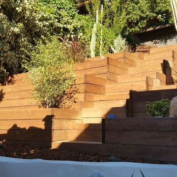 Wood Planters, Stucco Retaining Wall. Low-moisture Plants