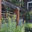Mark Foster Design Build
