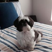 Russell Jackson's photo