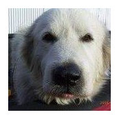 Erich Klein's photo