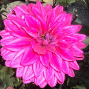 aws_designconsultantさんの写真