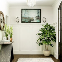 Indoor Plants