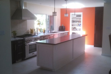 Example of a kitchen design in San Francisco
