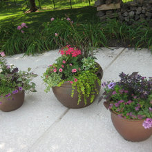 Planter Ideas