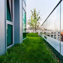 Roof garden