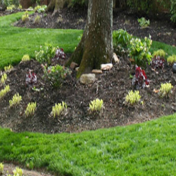 Our Work