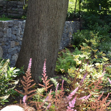 Woodland Garden