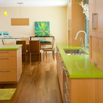 Tropical Zen Remodel