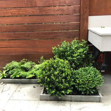 Brooklyn Heights Backyard 1