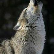 Elizabeth Westin's photo