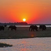 Jim Kopf's photo