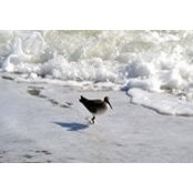 Lynne Stamm's photo