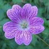 Padraig de Burca's photo