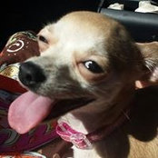 Christopher Fontenot's photo