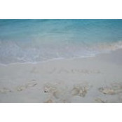 Kelly Walters's photo