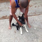Glenroy Corbin's photo