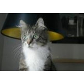 Amy ODonnell's photo
