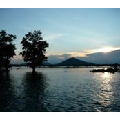 Craig Rush's photo
