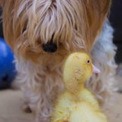 Alex Murphy's photo