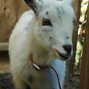 Suzanne Popkin's photo